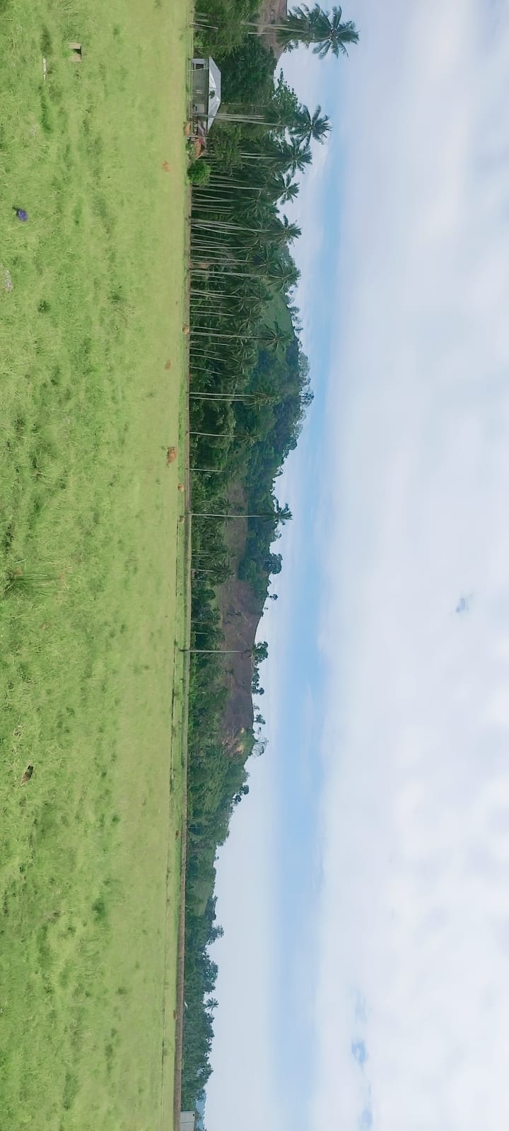 Hero Background